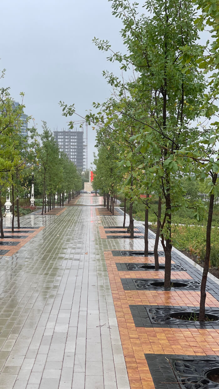 Приствольная решетка для дерева ZKING CRUST 1.2х1.2м Черная в Ленинск-Кузнецком фото