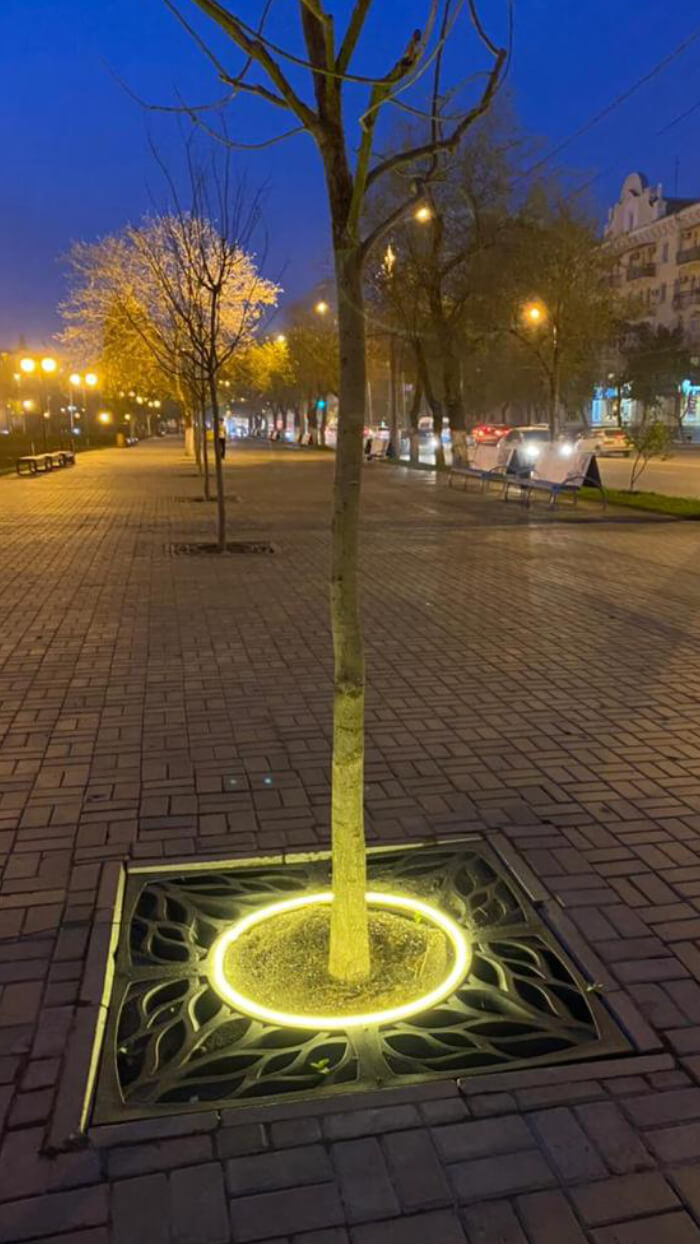 Приствольная решетка для дерева ZKING CRUST 1.2х1.2м Черная в Ленинск-Кузнецком фото